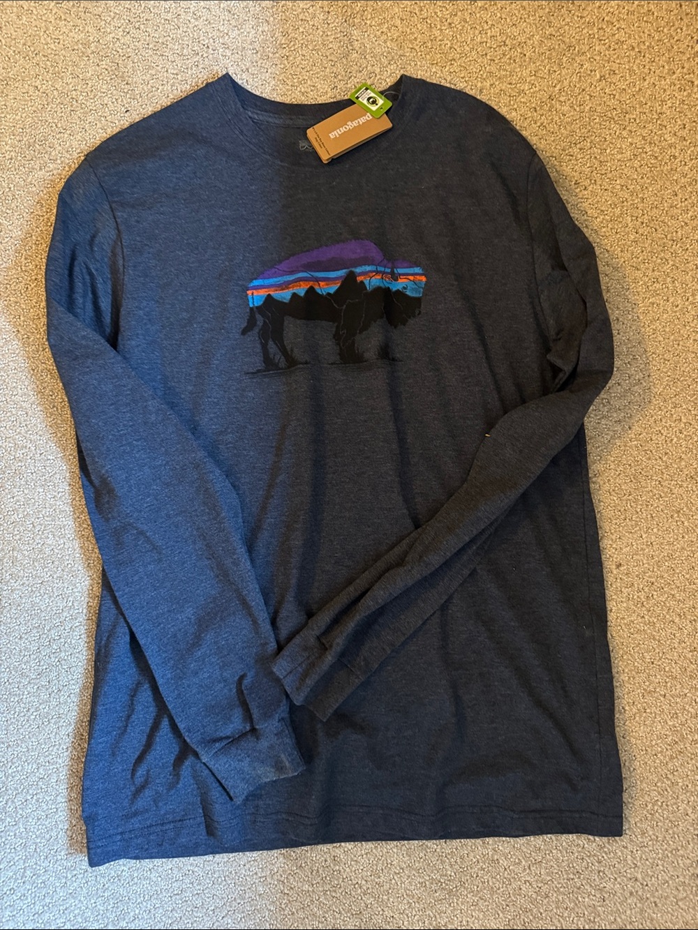 Patagonia Navy Long-Sleeve Tee with Multicolor Buffalo Graphic